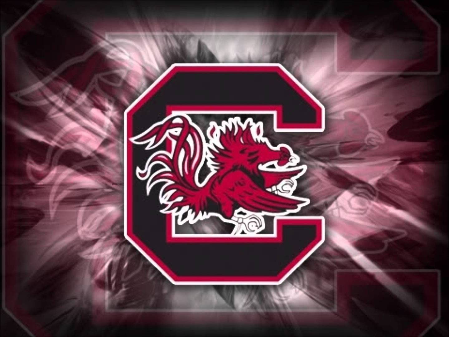 South Carolina Gamecocks, crimson, black, HD Desktop Wallpaper