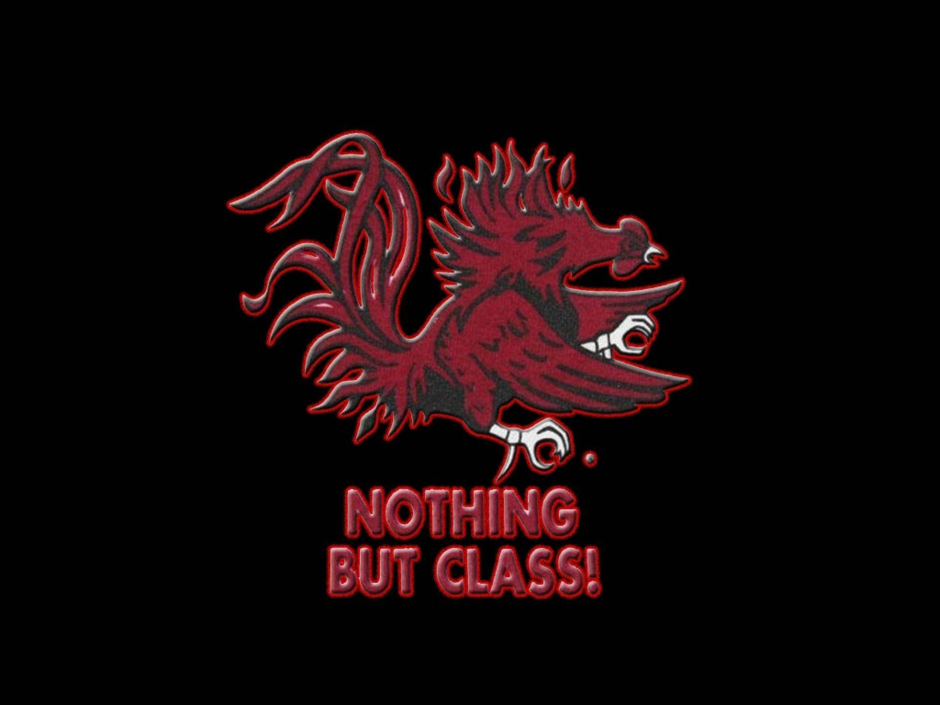 South Carolina Gamecocks, crimson rooster mascot, white claws and beak, Full HD Desktop Wallpaper