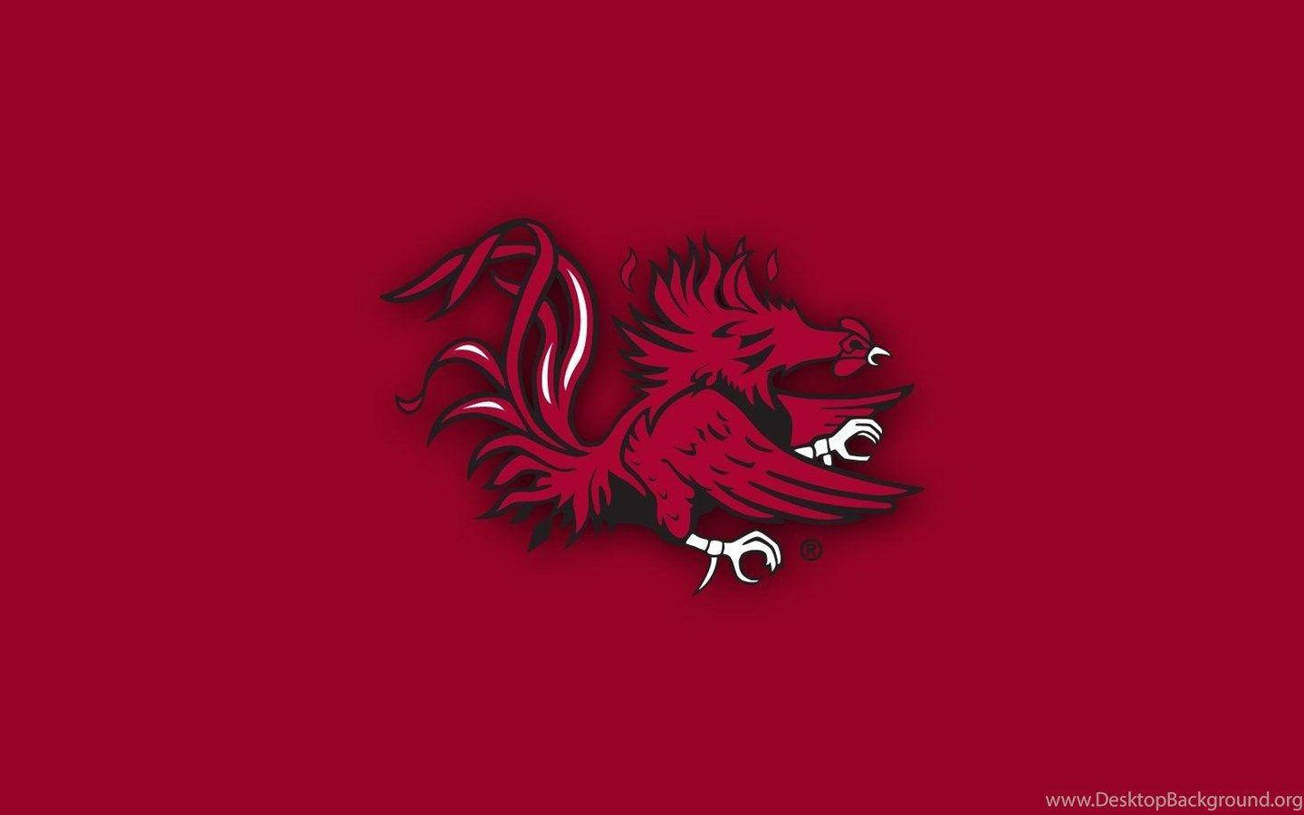 South Carolina Gamecocks, red gamecock mascot logo, white accents, HD Desktop Wallpaper