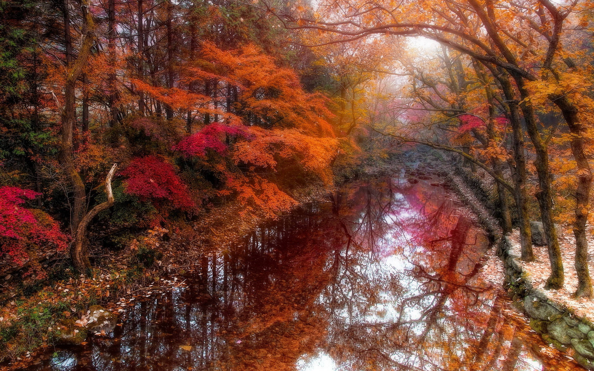 autumn forest, vibrant red orange and pink leaves, calm river, Full HD Desktop Wallpaper