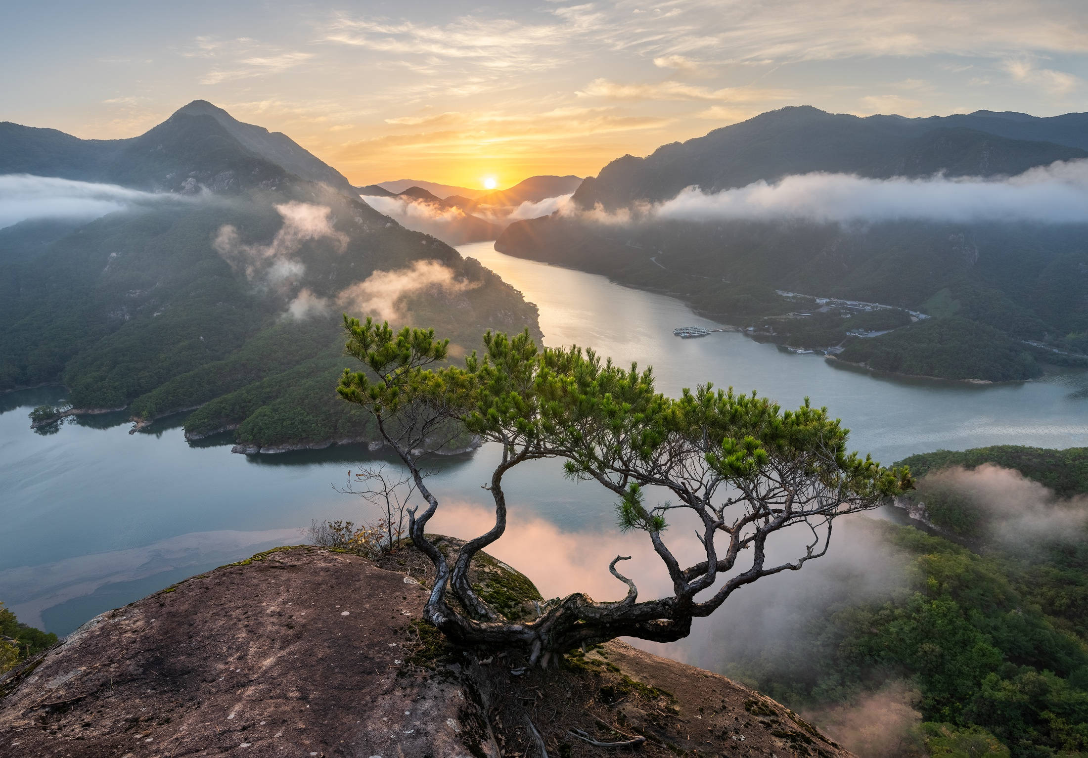 River South Korea, gnarled pine tree, rocky cliff, Full HD Desktop Wallpaper