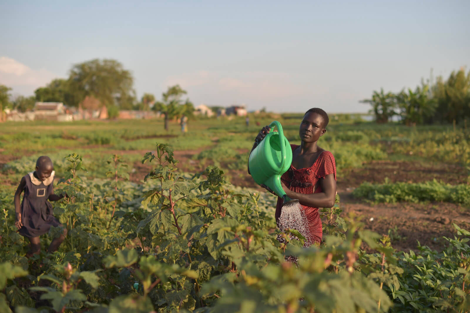 South Sudan, green, watering can, HD Desktop Wallpaper