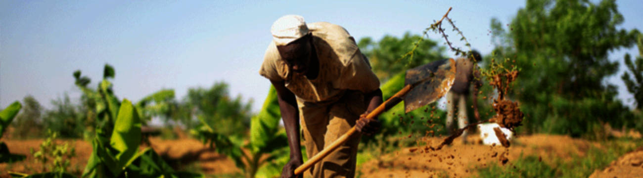South Sudan, man, digging, HD Desktop Wallpaper