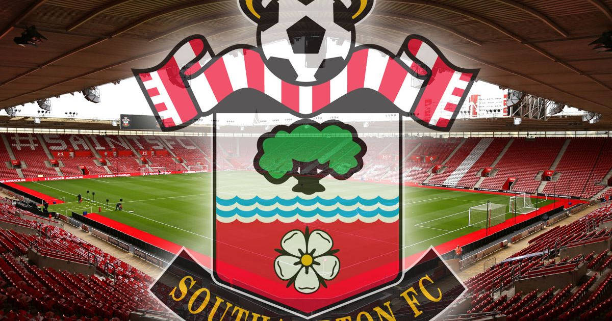 Southampton FC, crest, tree, SD Desktop Wallpaper