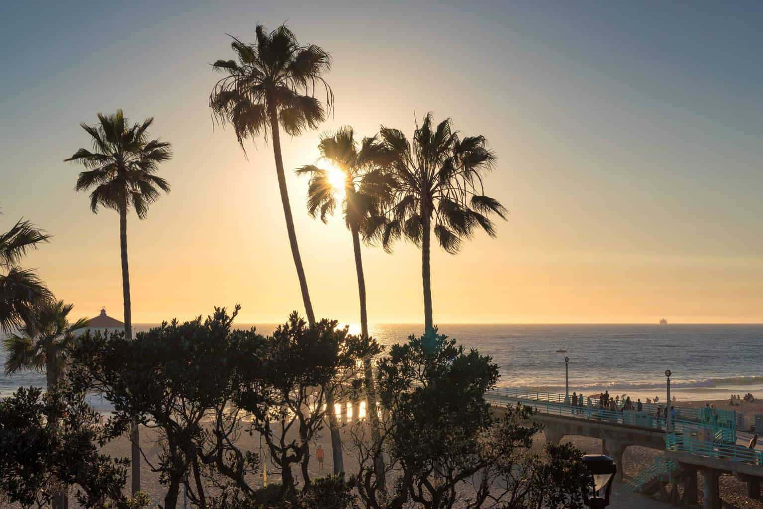 Sunset, palm trees, calm ocean, HD Desktop Wallpaper