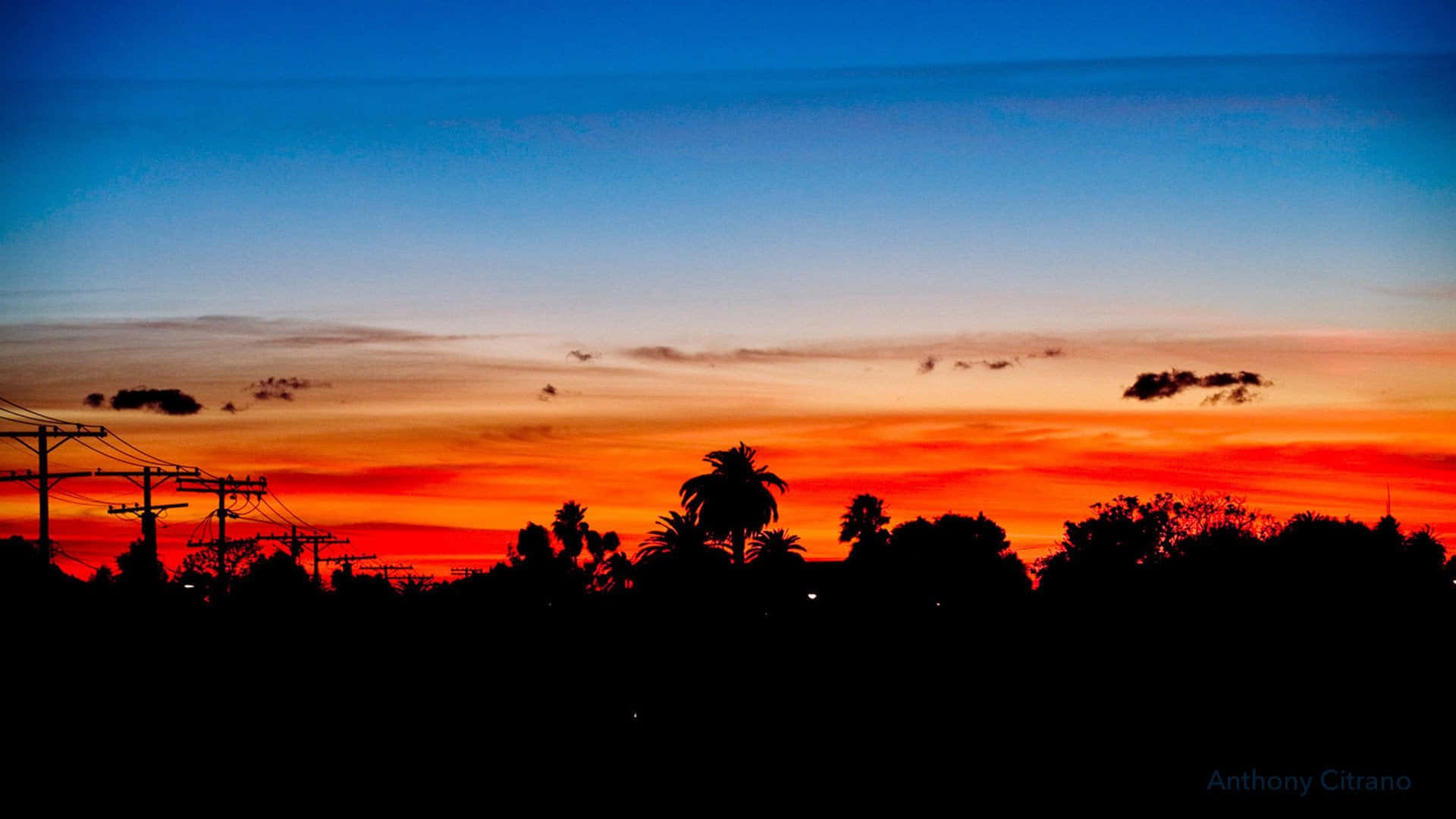 Southern California, palm trees, power lines, Full HD Desktop Wallpaper