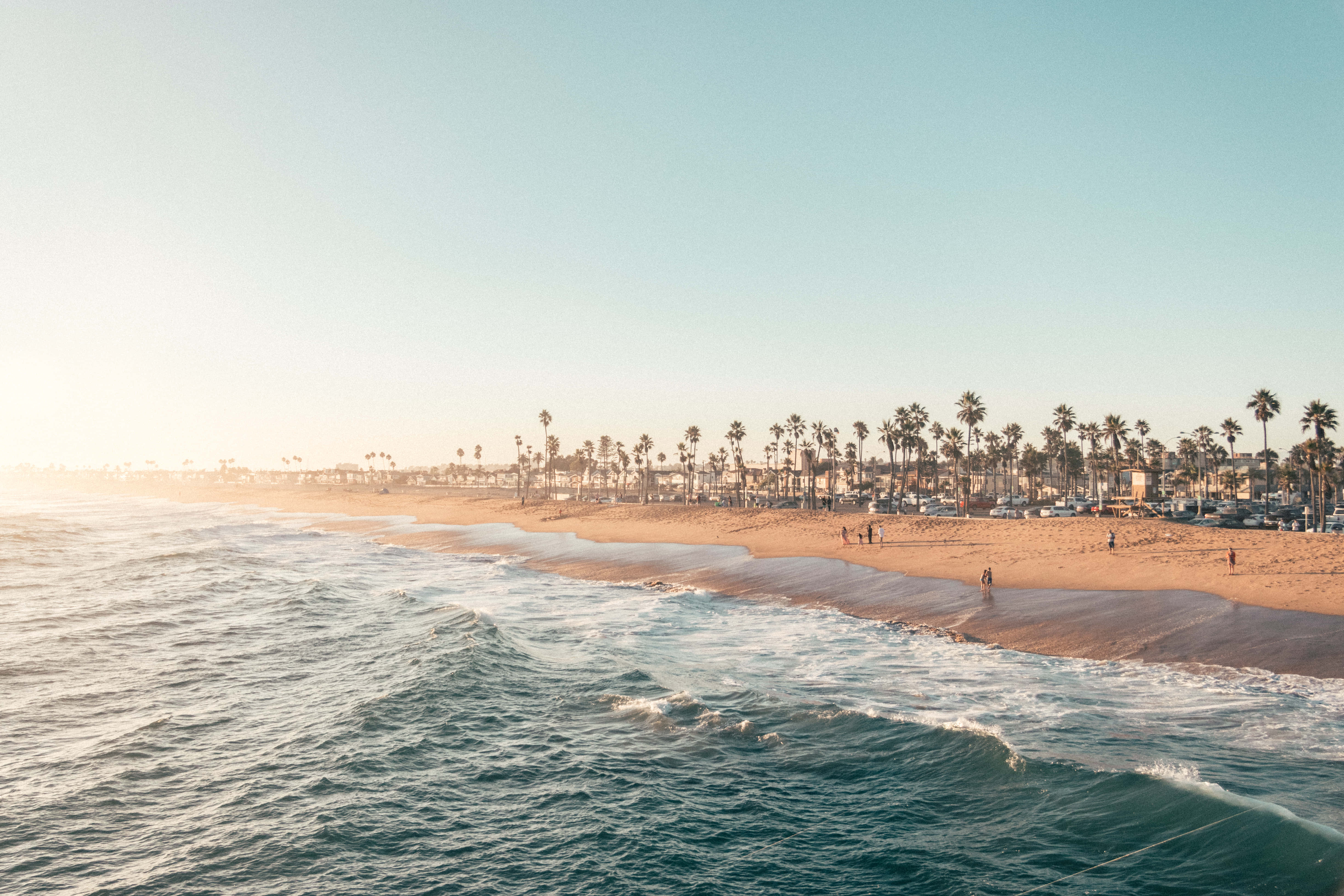 Southern California, beach, palm trees, 5K Desktop Wallpaper