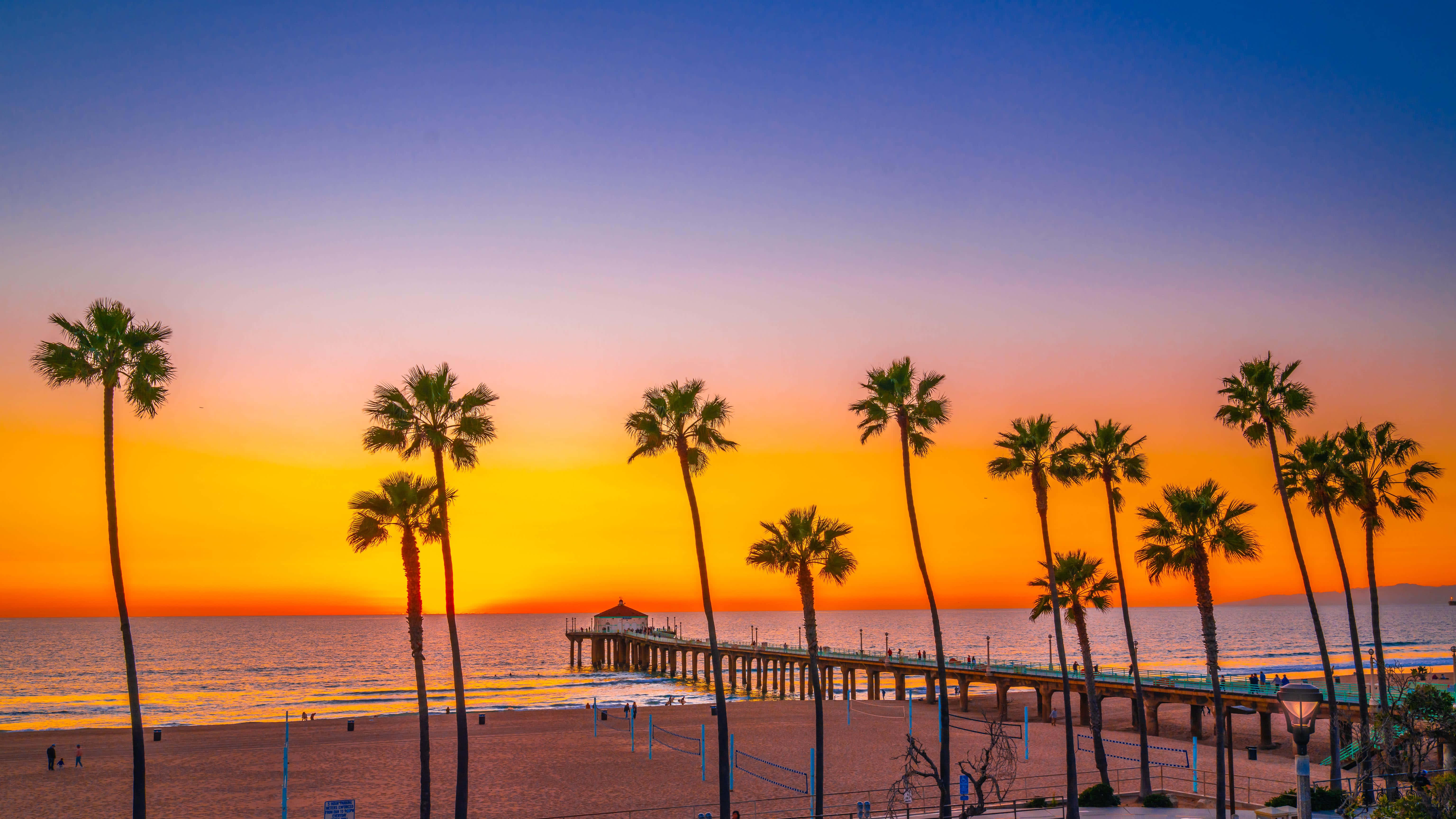 Southern California, sunset, palm trees, 5K Desktop Wallpaper