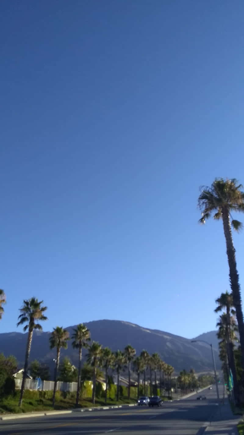 Southern California, palm trees, mountains, HD Phone Wallpaper