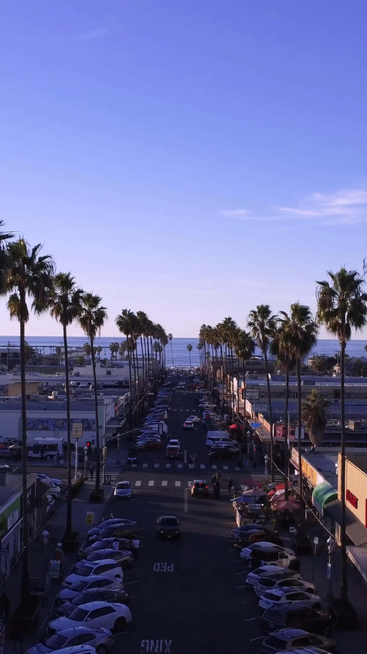 Southern California, palm-lined coastal street, parked cars, Full HD Phone Wallpaper