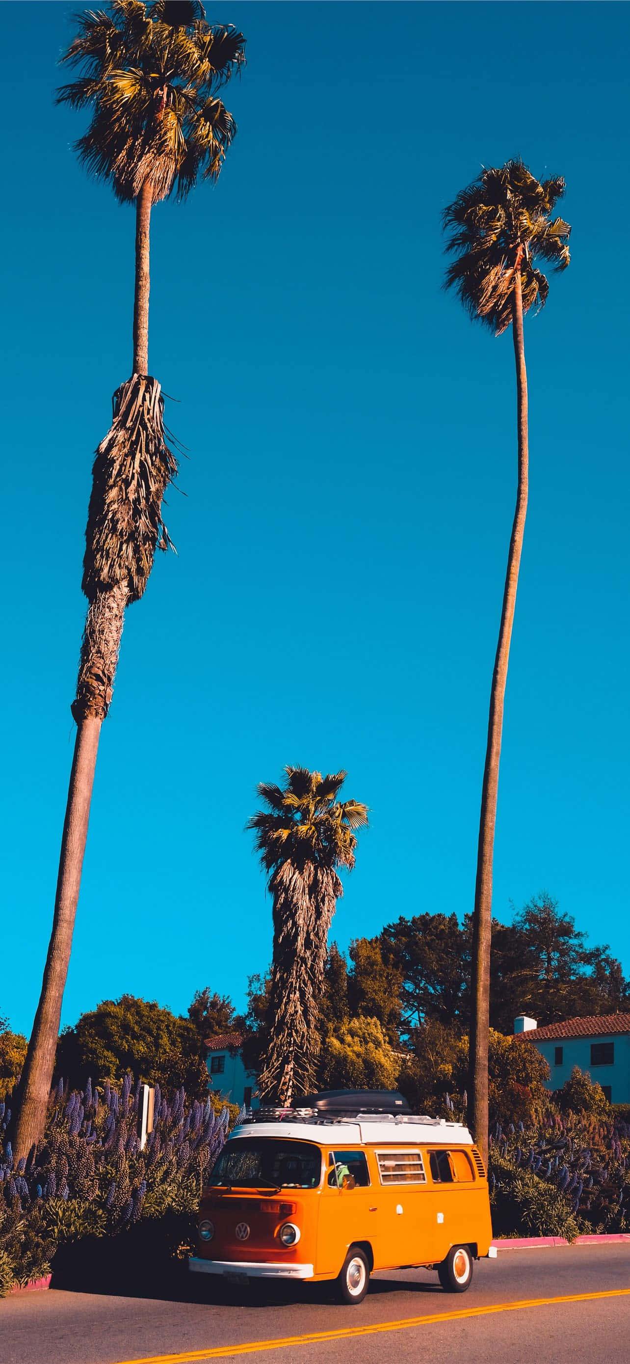 California Aesthetic, vintage orange van, towering palm trees, 2K Phone Wallpaper