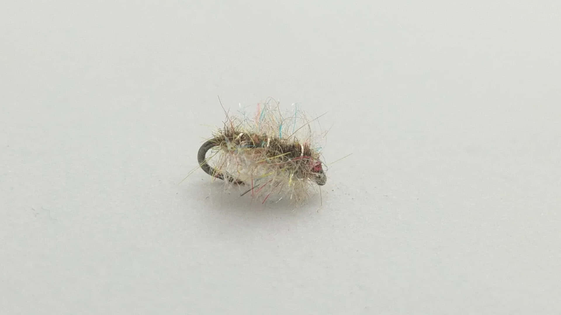 Sowbug, fly fishing lure, fuzzy brown and white, Full HD Desktop Wallpaper