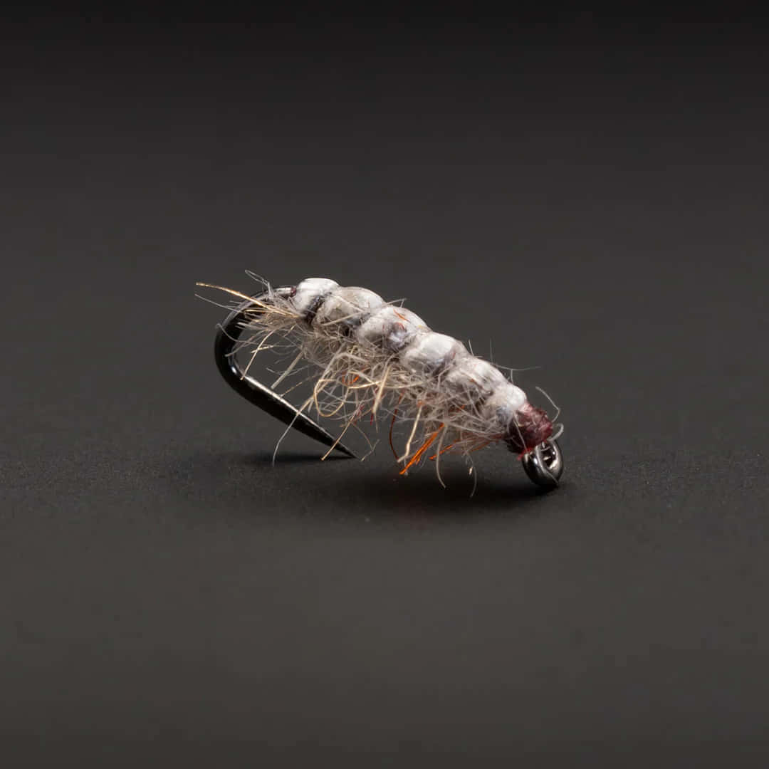 Sowbug, fly fishing lure, white and brown, SD Desktop Wallpaper
