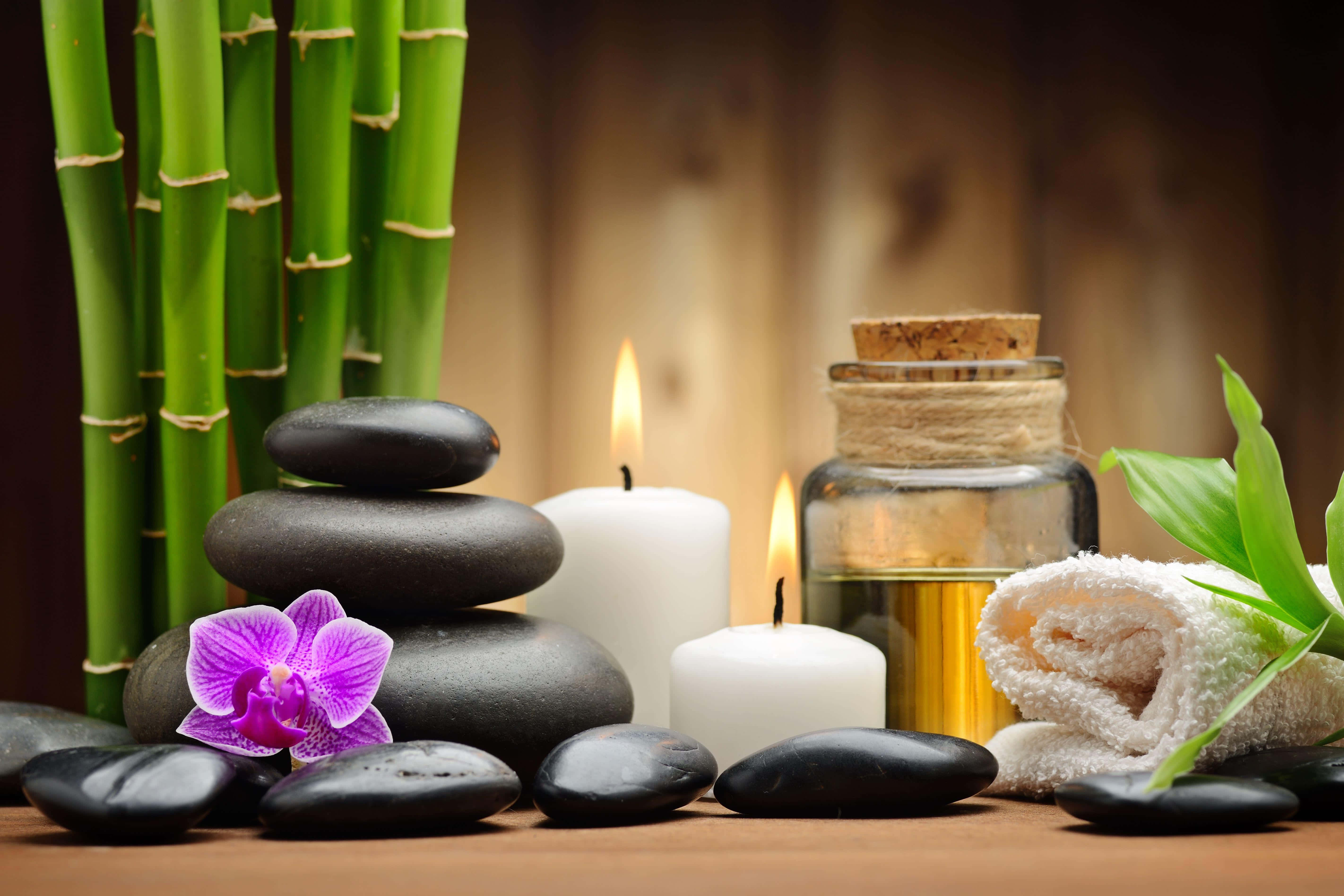 bamboo, black stones, purple orchid, 5K Desktop Wallpaper
