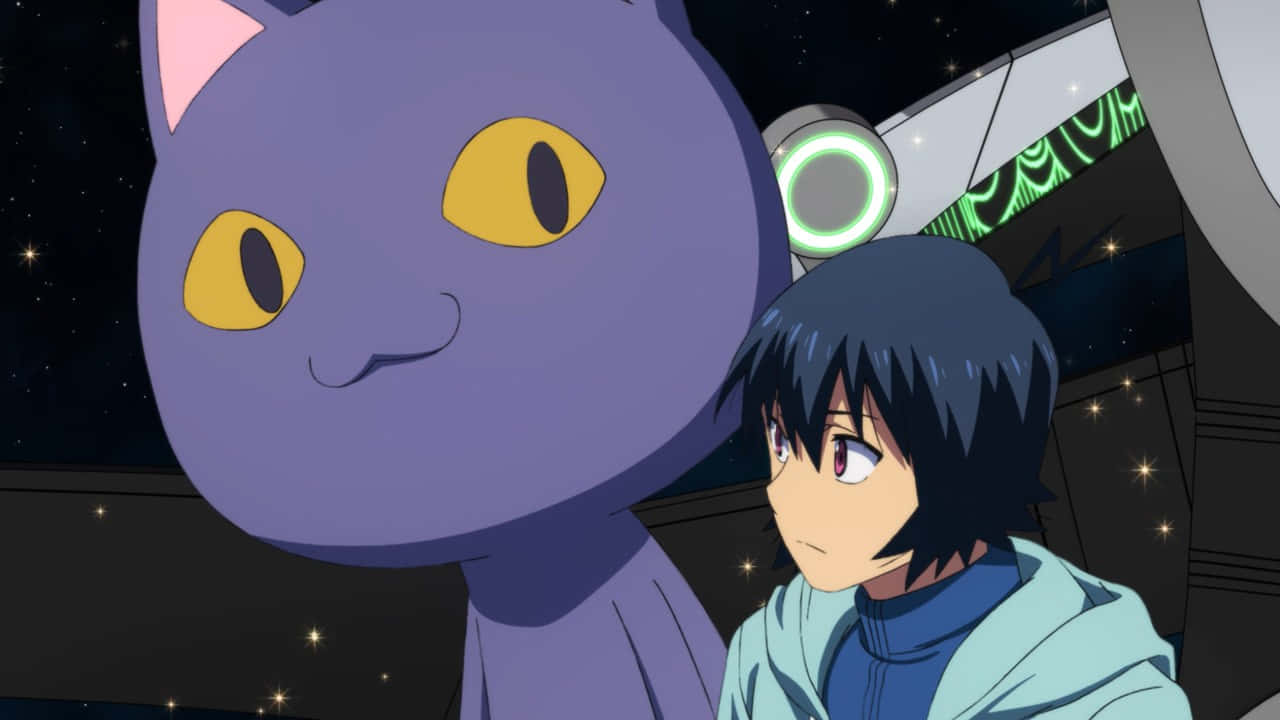 young anime boy, large purple cat, glowing yellow eyes, HD Desktop Wallpaper