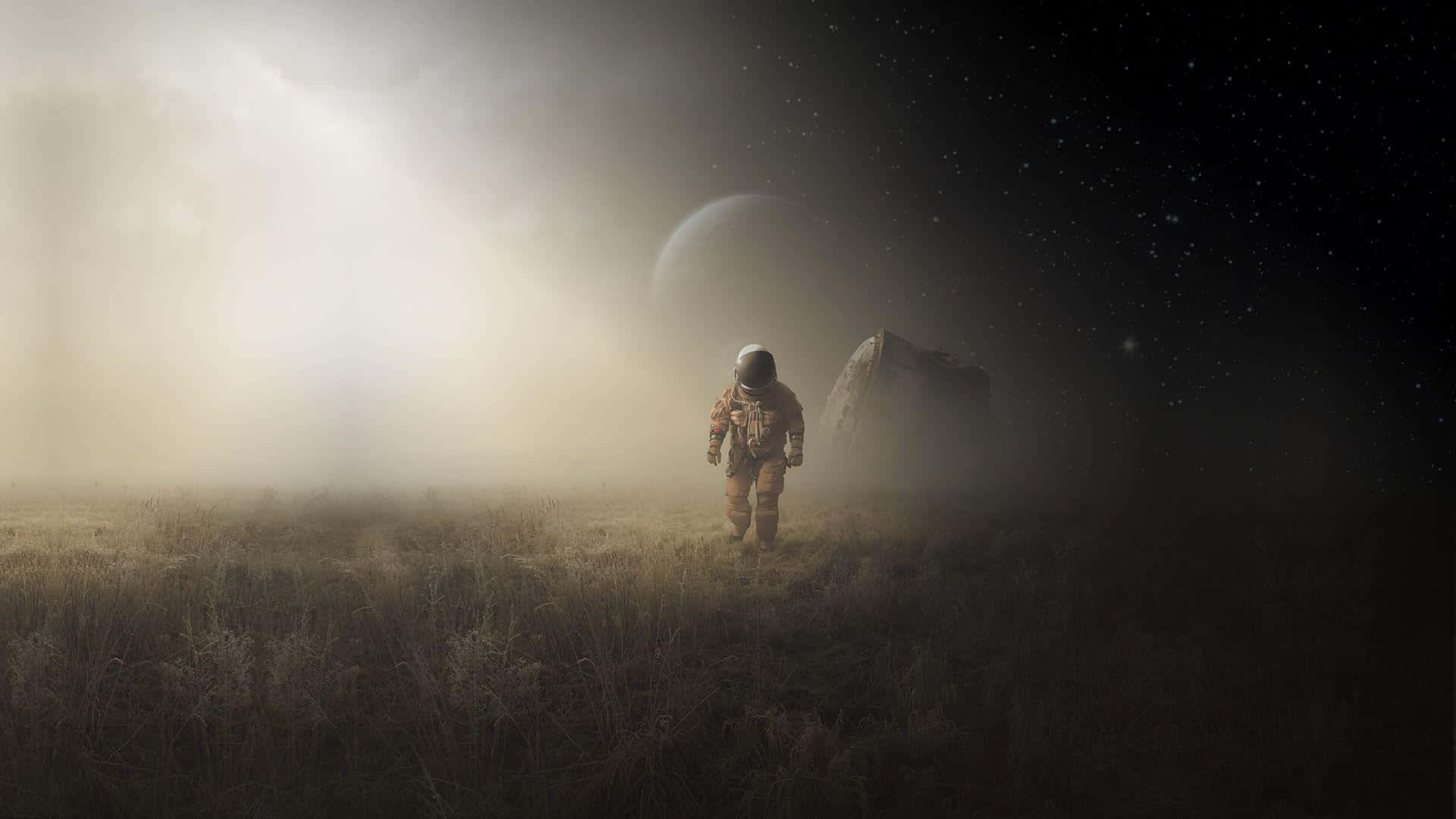 astronaut, alien field, starry sky, Full HD Desktop Wallpaper