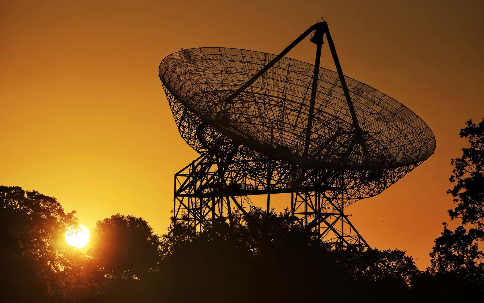 radio telescope, vibrant orange sunset, trees, Full HD Desktop Wallpaper