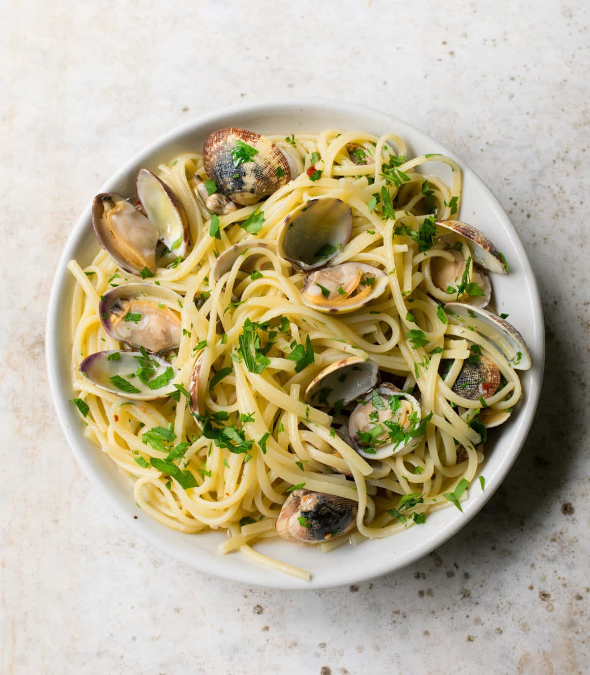 spaghetti alla vongole, white bowl, clams, HD Phone Wallpaper