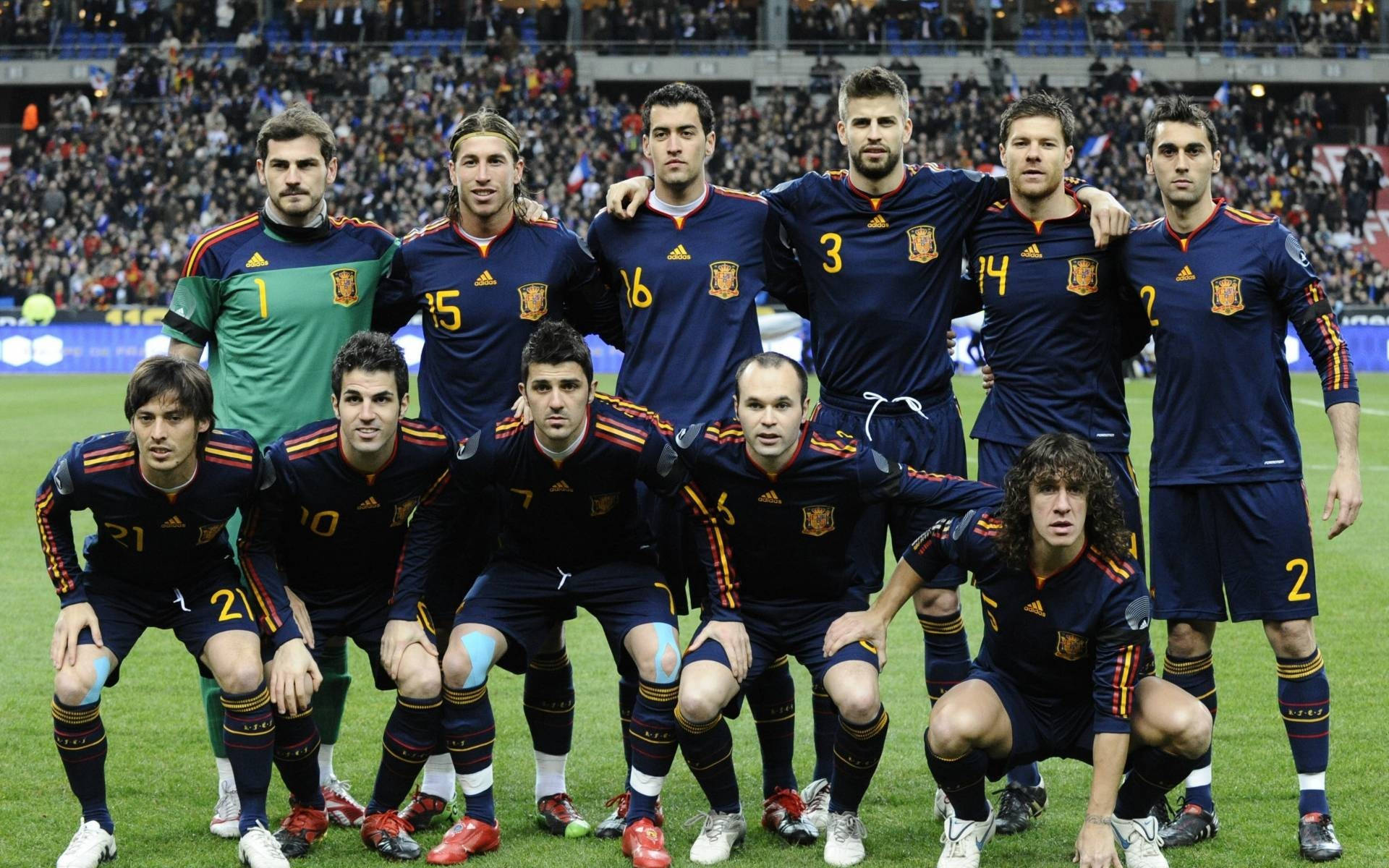 Spain National Football Team, 2010 FIFA World Cup, navy blue jerseys, Full HD Desktop Wallpaper