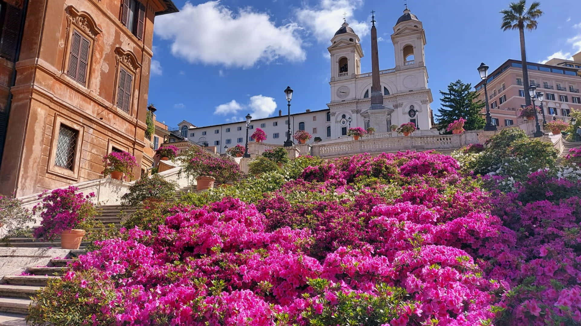 Spanish Steps, pink flowers, sunlit stone steps, Full HD Desktop Wallpaper