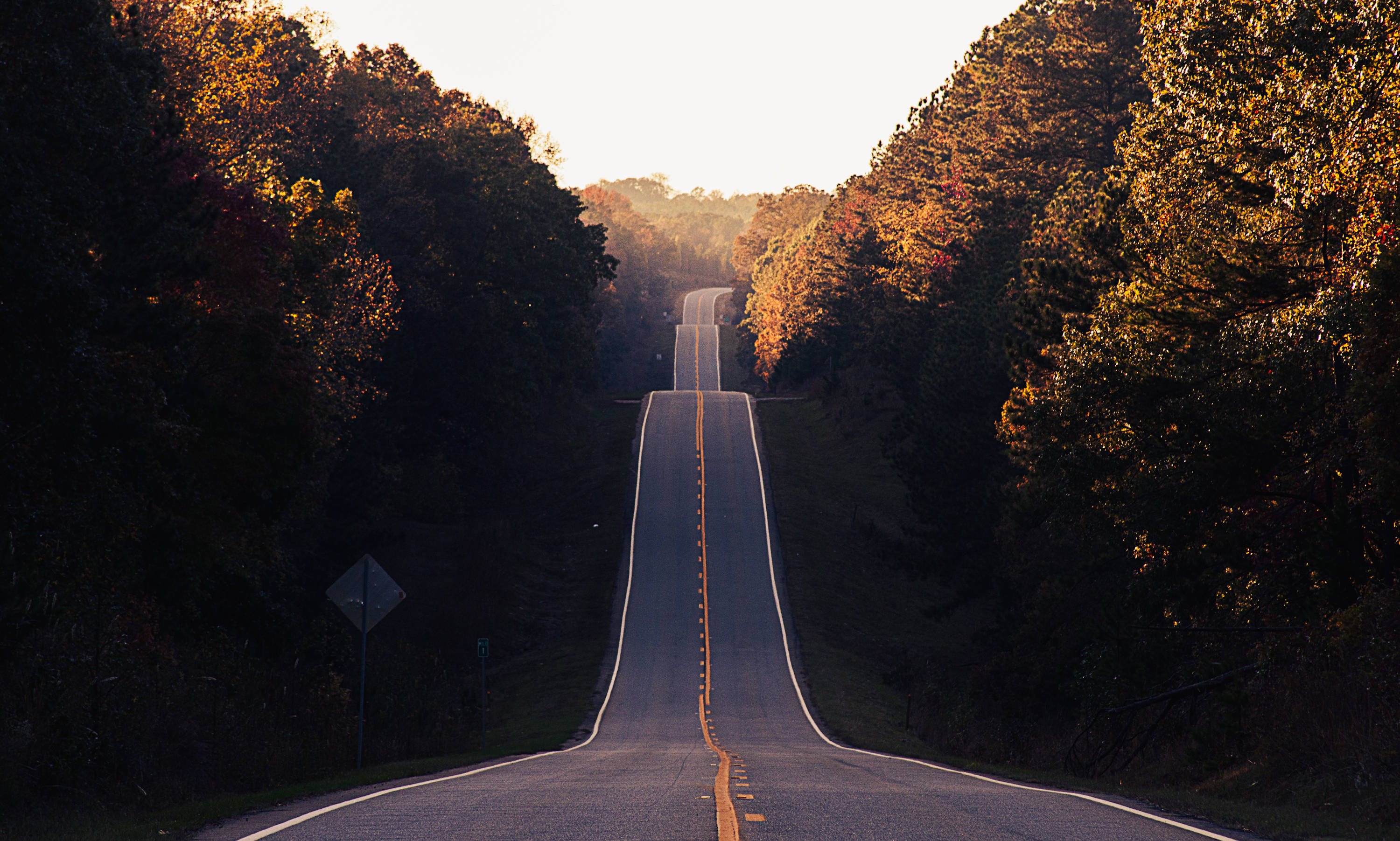 autumn forest, golden sunset light, long straight road, 2K Desktop Wallpaper