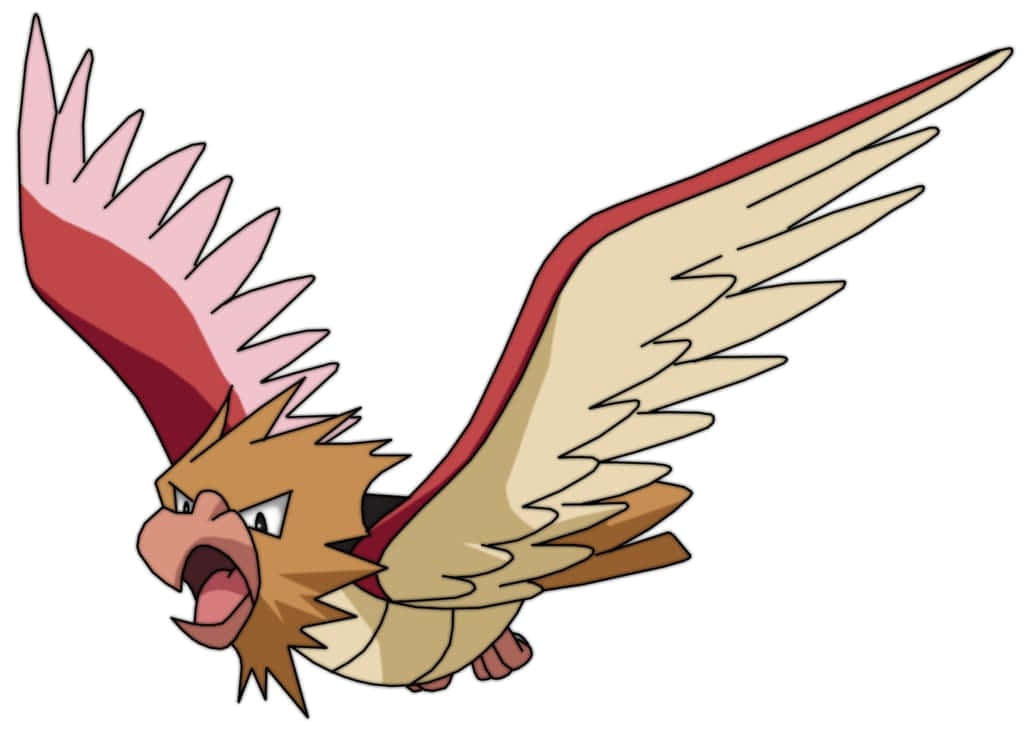 Spearow, red wings, beige wings, SD Desktop Wallpaper