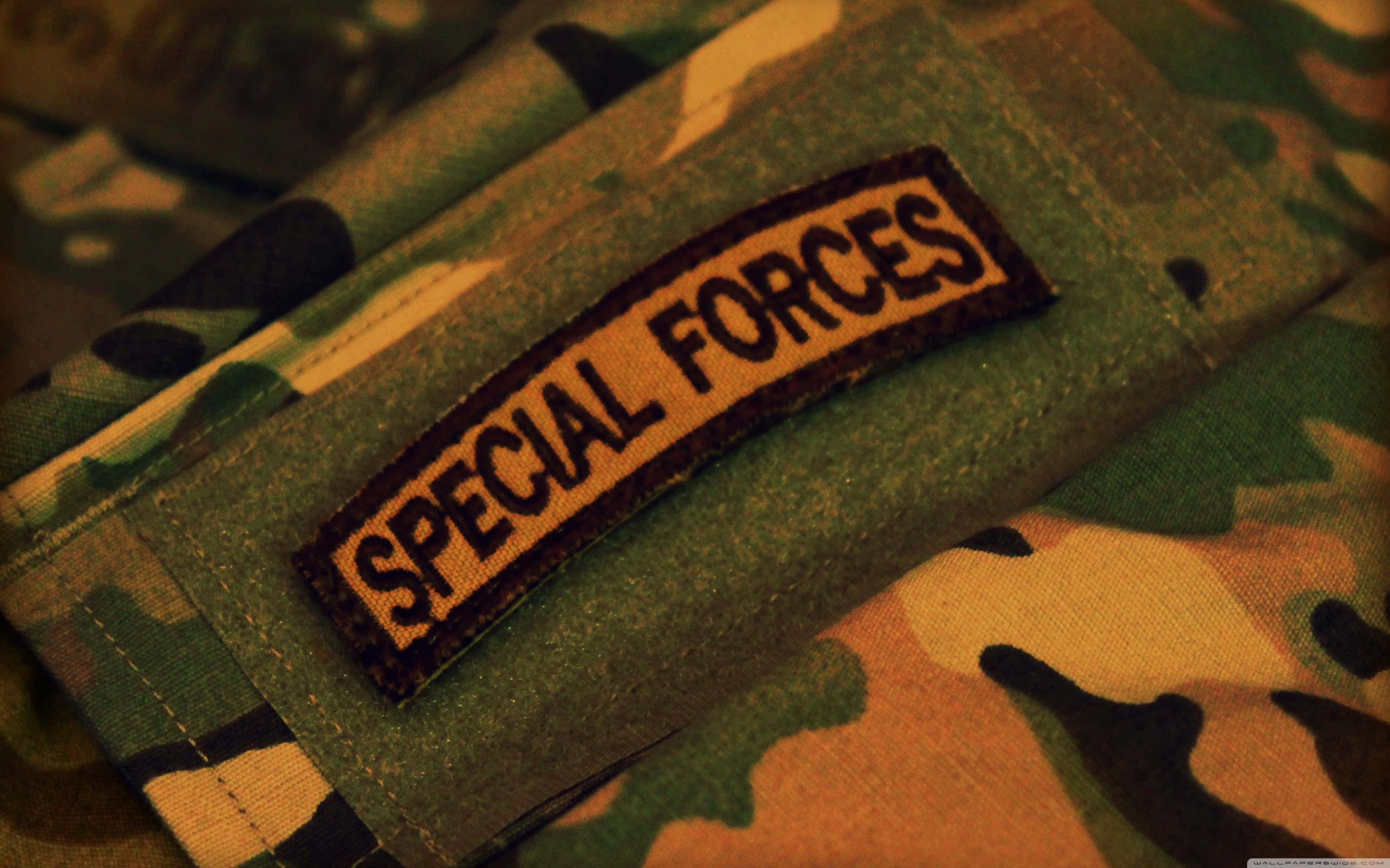 SPECIAL FORCES, camouflage military gear, warm lighting, 4K Desktop Wallpaper