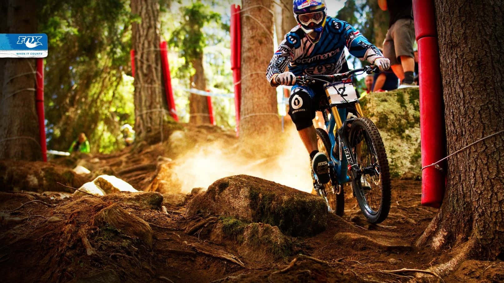 Specialized Mountain Bike, sunlit forest trail, mossy rocks, HD Desktop Wallpaper