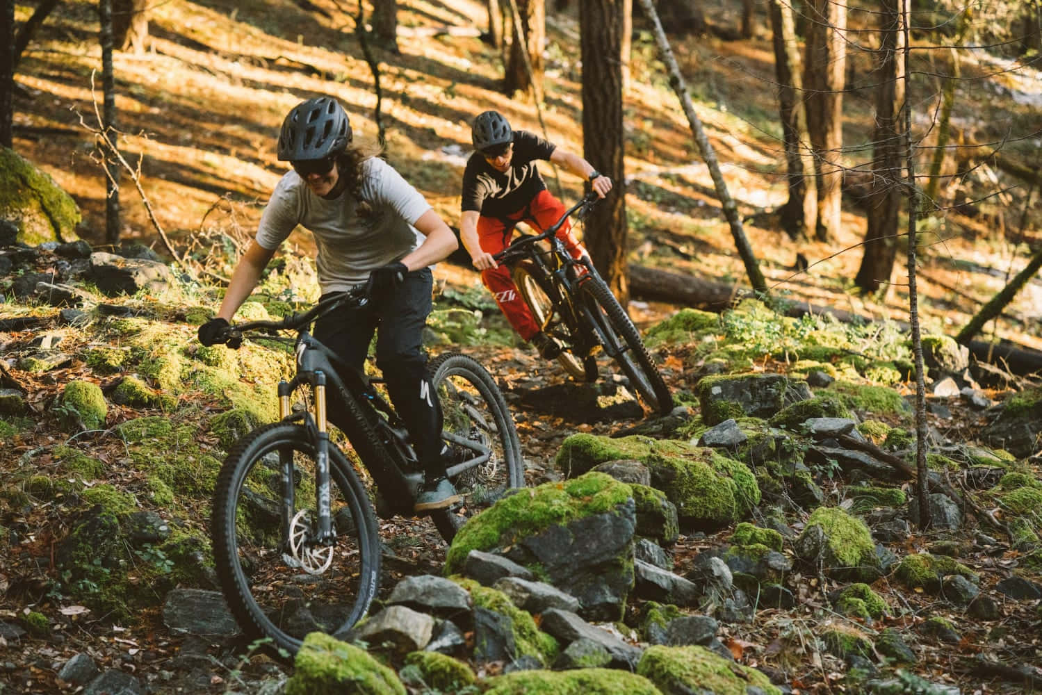 Specialized Mountain Bike, rocky forest trail, golden afternoon sunlight, HD Desktop Wallpaper