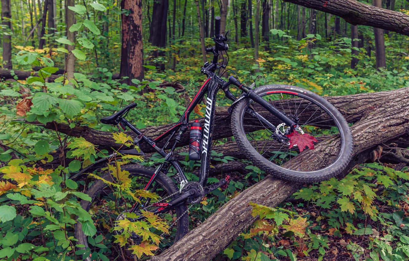 Specialized Mountain Bike, black, fallen log, HD Desktop Wallpaper