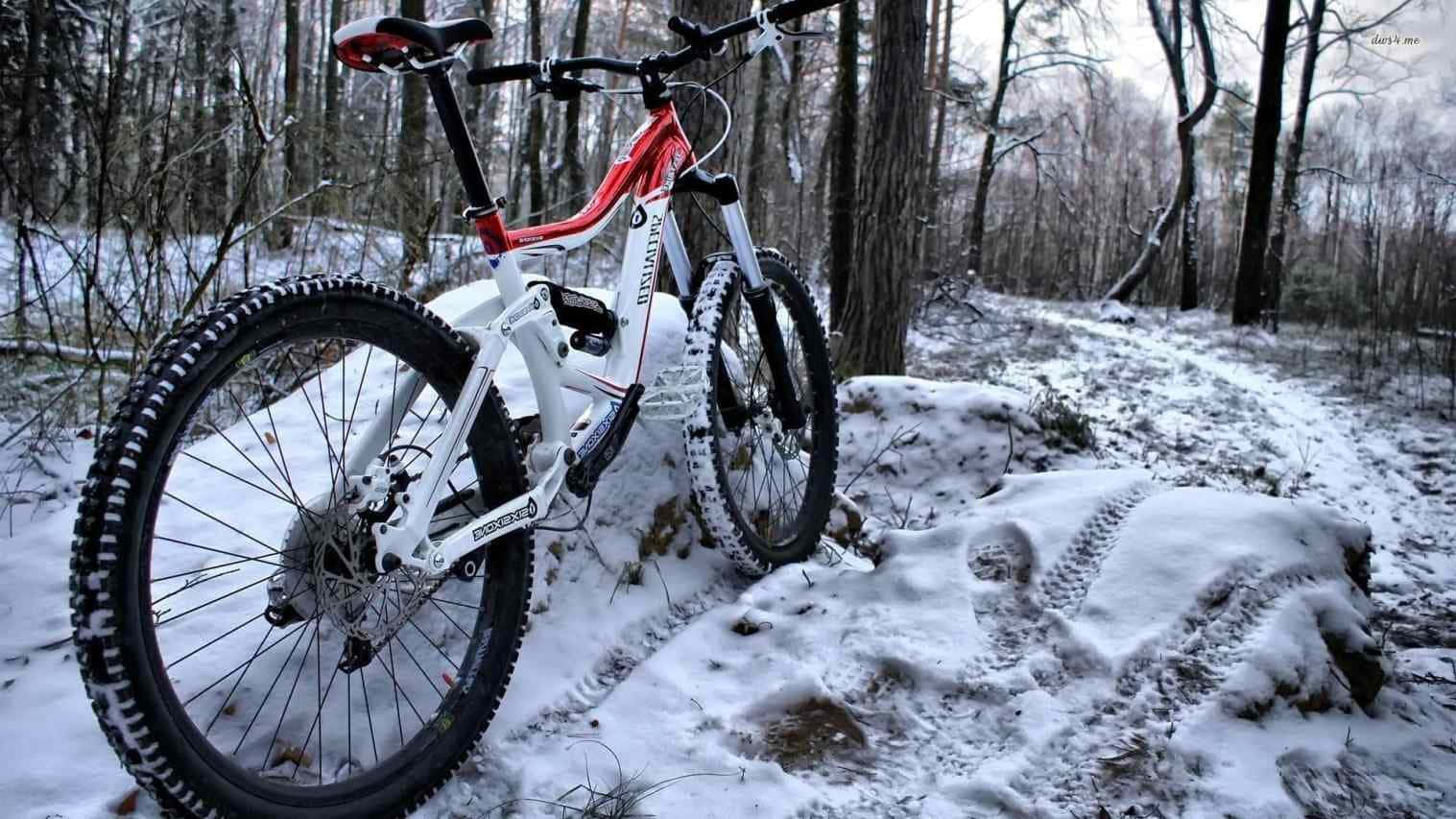 Specialized, mountain bike, snowy forest trail, HD Desktop Wallpaper