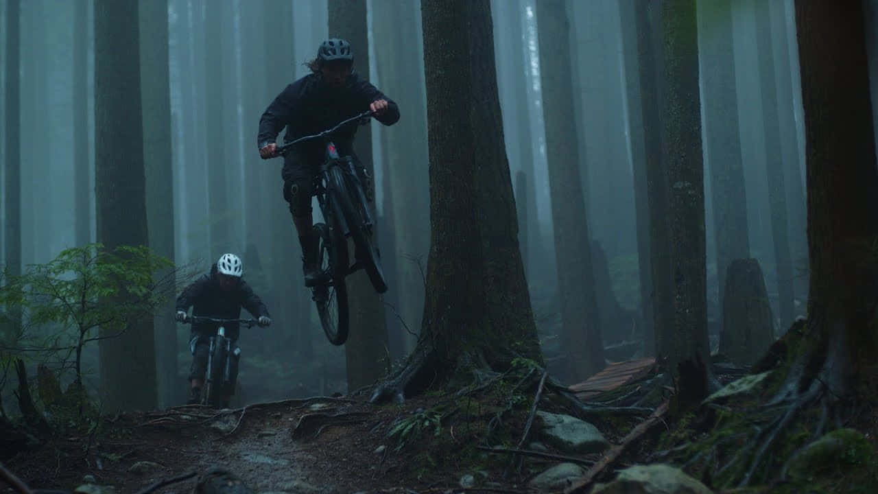 Specialized Mountain Bike, forest, misty forest trail, HD Desktop Wallpaper