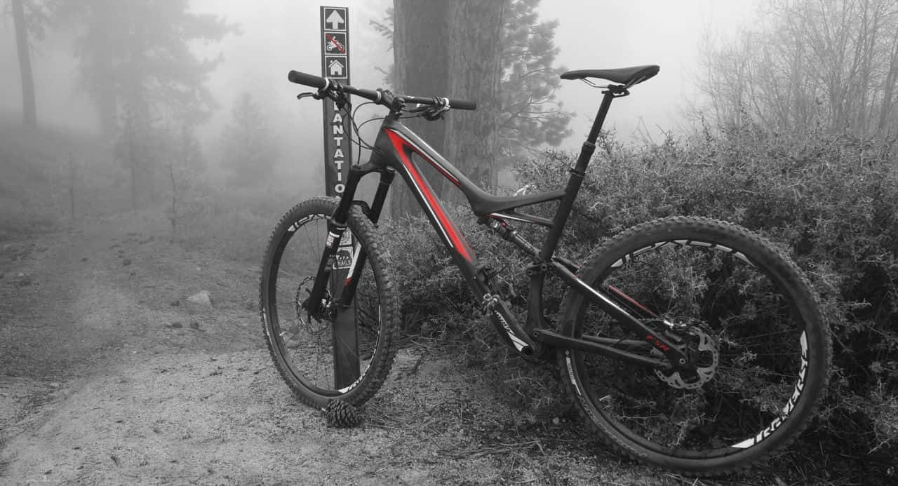 Specialized Mountain Bike, forest park, foggy forest path, HD Desktop Wallpaper