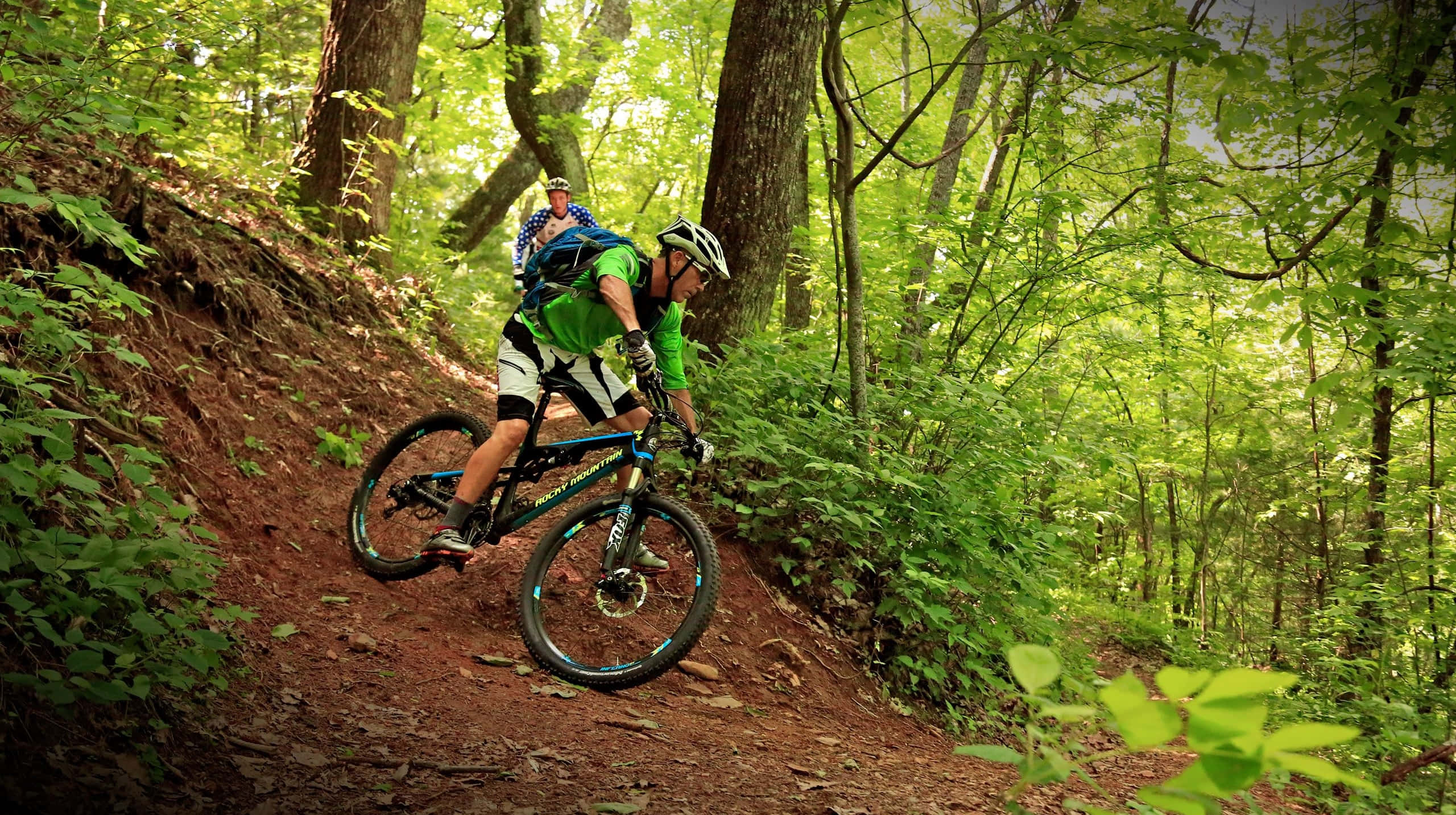 Specialized Mountain Bike, sun-dappled forest trail, dense green foliage, 2K Desktop Wallpaper