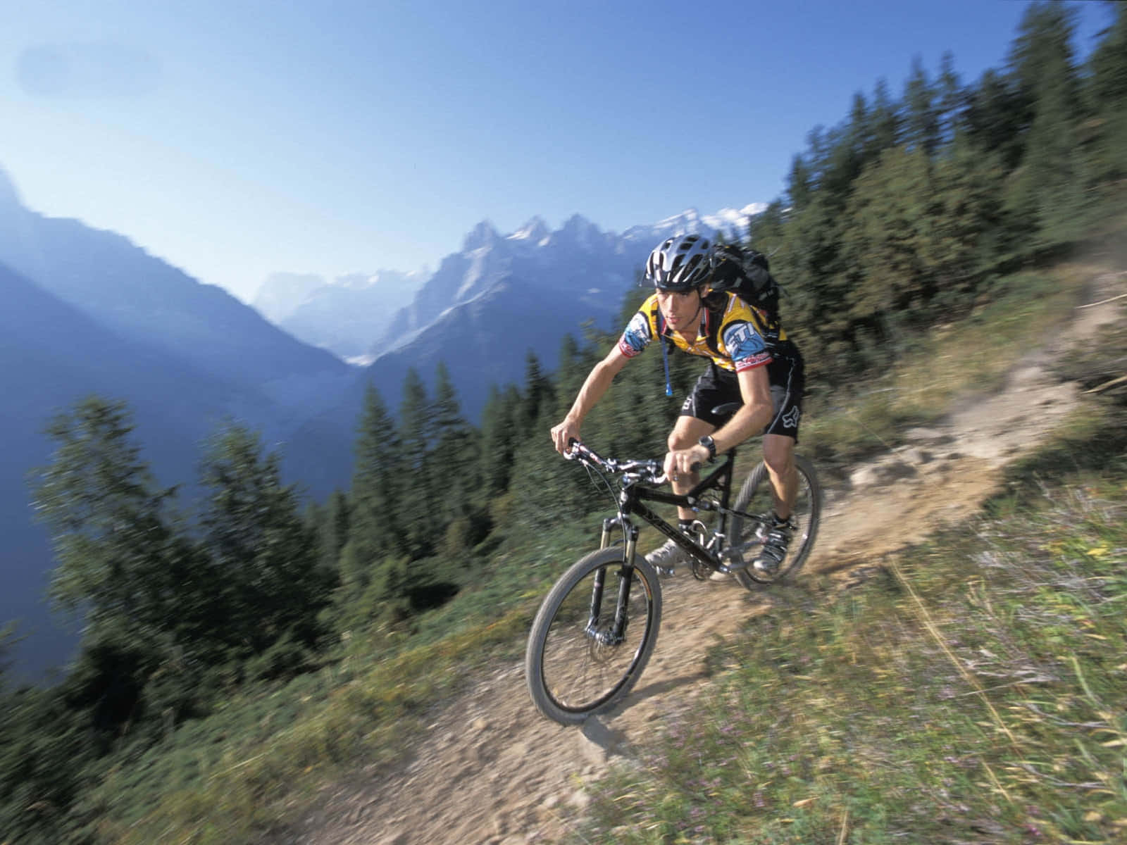 Specialized Mountain Bike, mountain biker, sunlit forest trail, HD Desktop Wallpaper