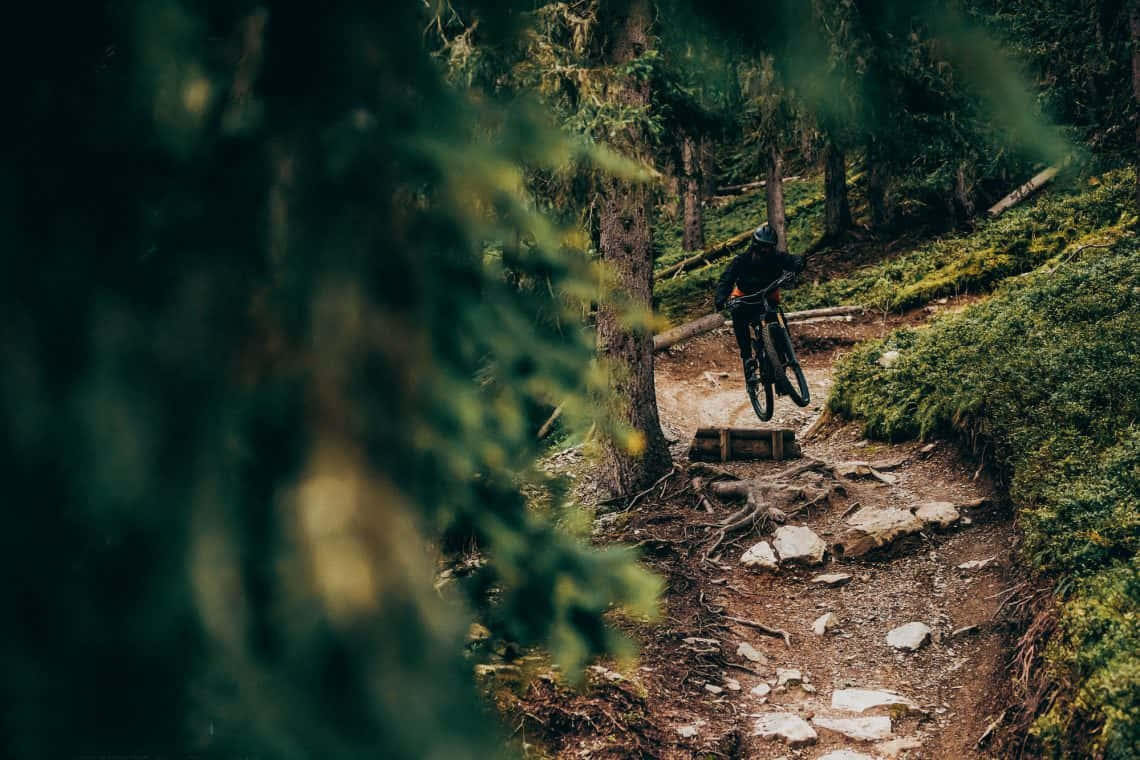 Specialized Mountain Bike, mountain biker, forest trail, SD Desktop Wallpaper