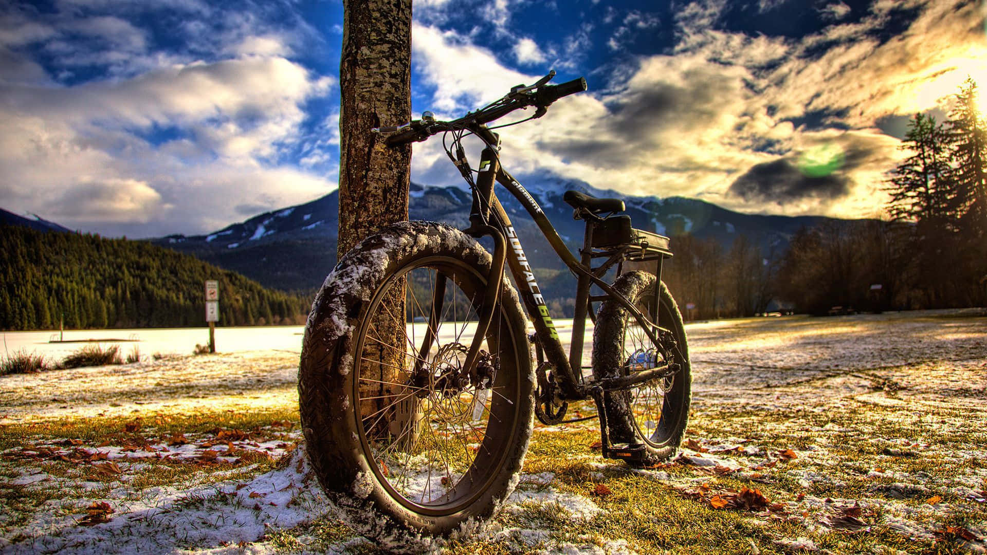 Specialized Mountain Bike, fatbike, snowy field, Full HD Desktop Wallpaper