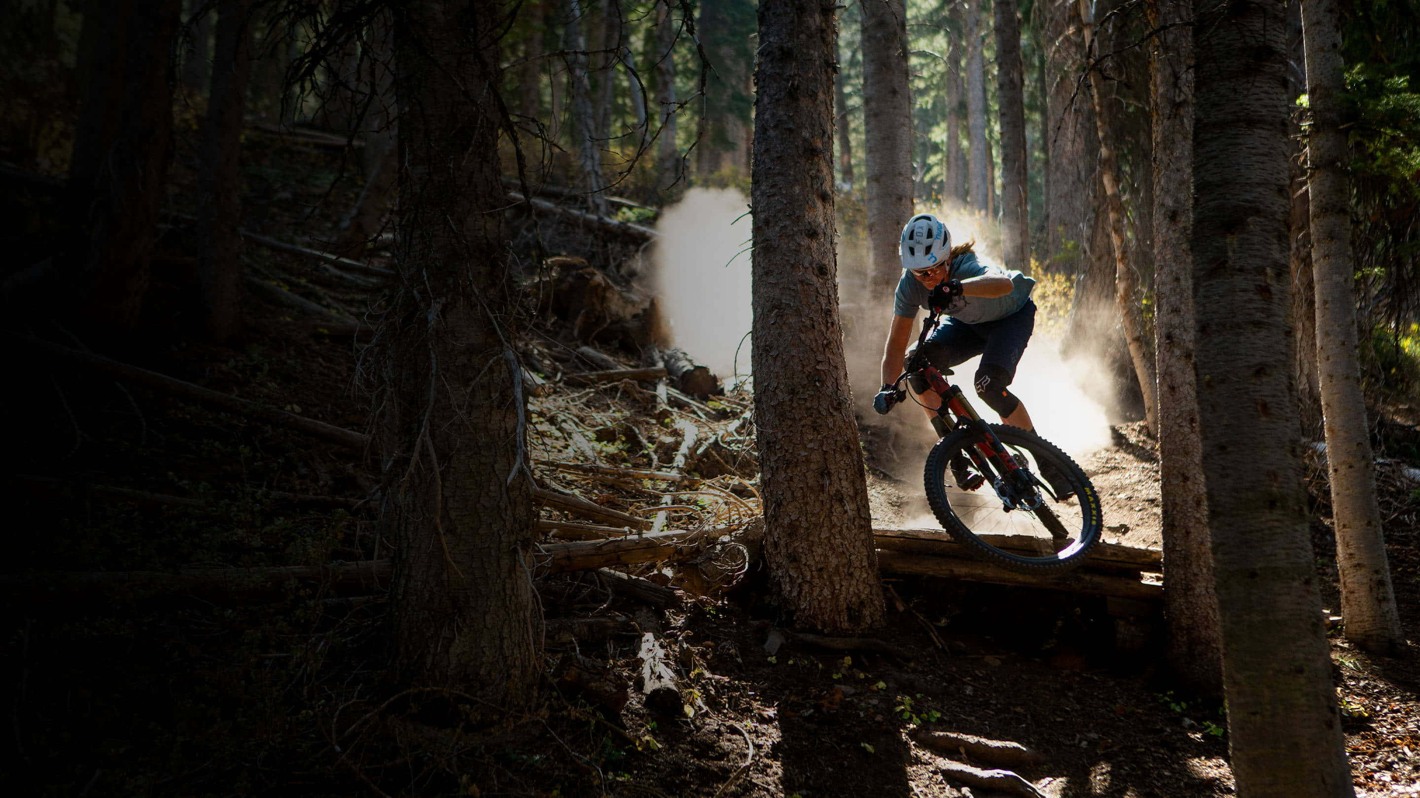 Specialized Mountain Bike, wood, sunlit forest, 2K Desktop Wallpaper