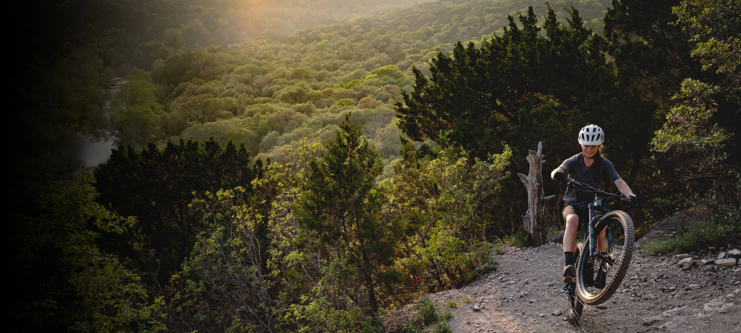 Specialized, mountain trail, forest trail, Full HD Desktop Wallpaper