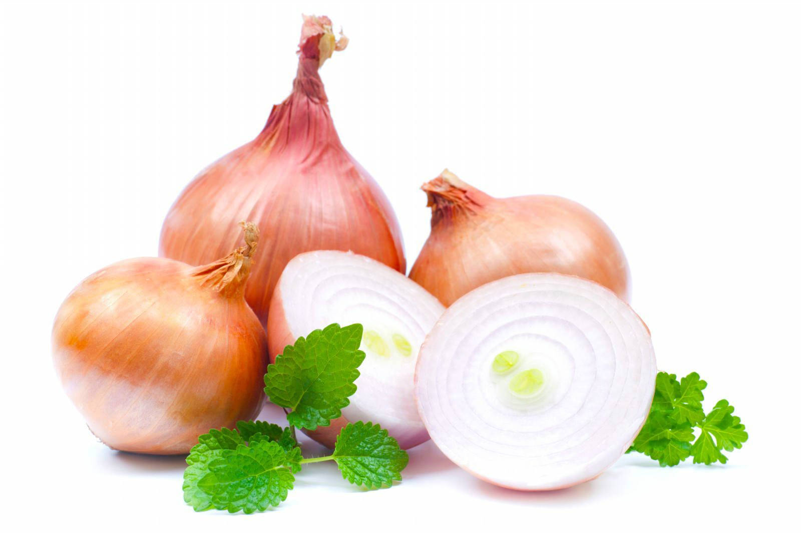 red onions, mint, coriander, HD Desktop Wallpaper