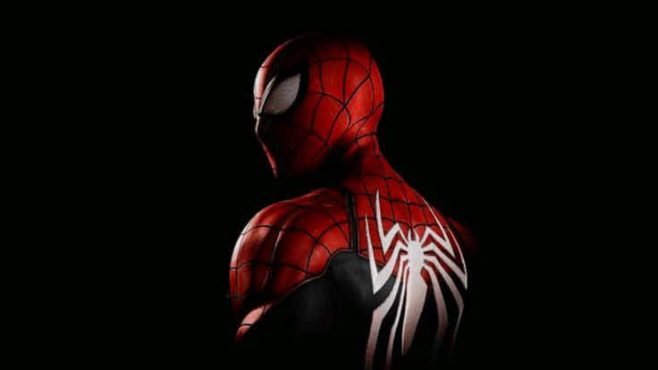 Spider Man, red and black suit, white spider emblem, SD Desktop Wallpaper