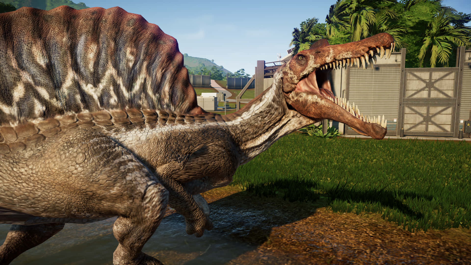 Spinosaurus, spiky-backed, fenced enclosure, Full HD Desktop Wallpaper