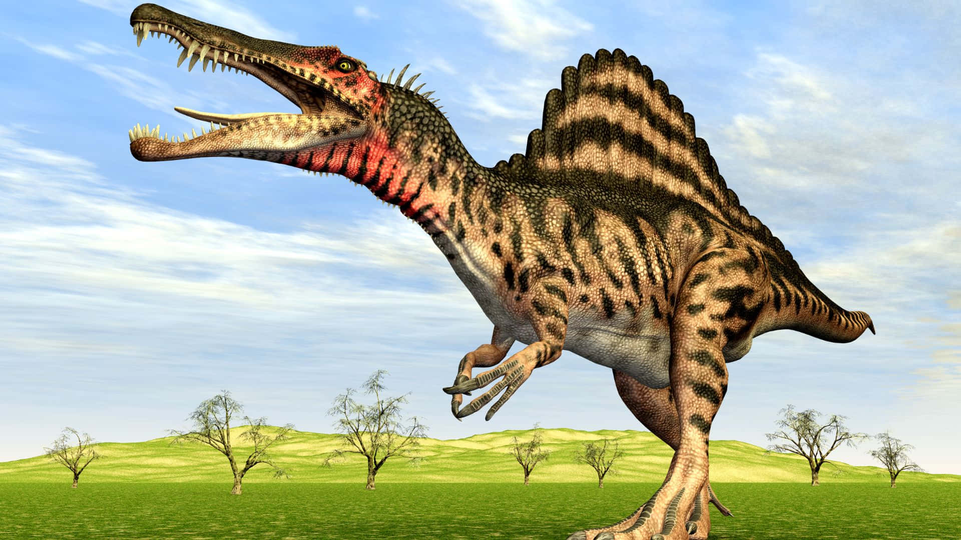 Spinosaurus, striped sail, sunlit grassy plain, Full HD Desktop Wallpaper