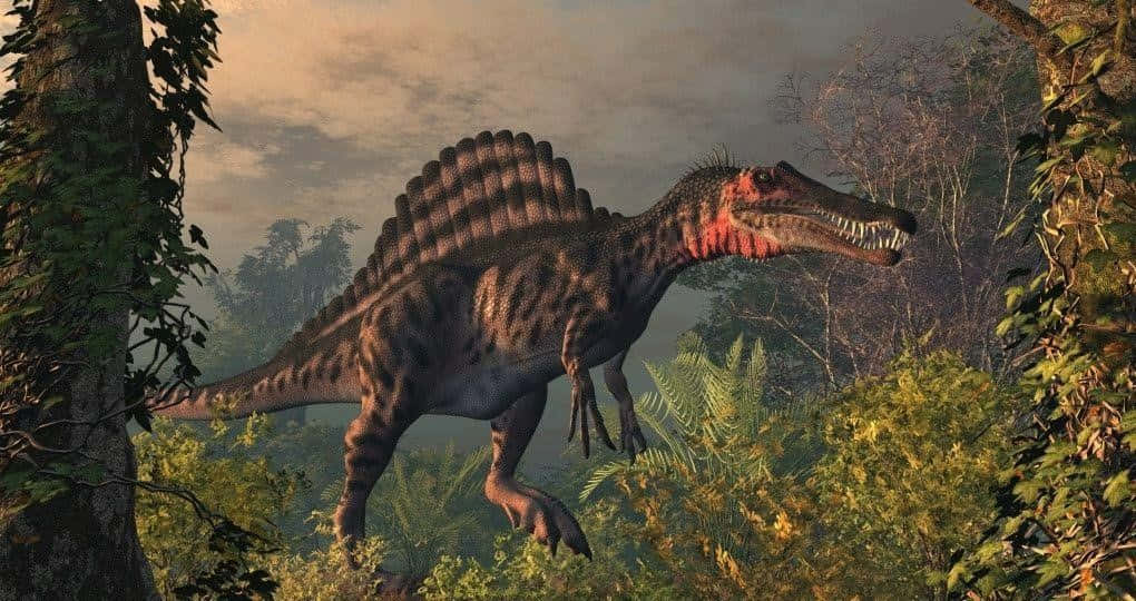 Spinosaurus, sailback, dense prehistoric jungle, SD Desktop Wallpaper