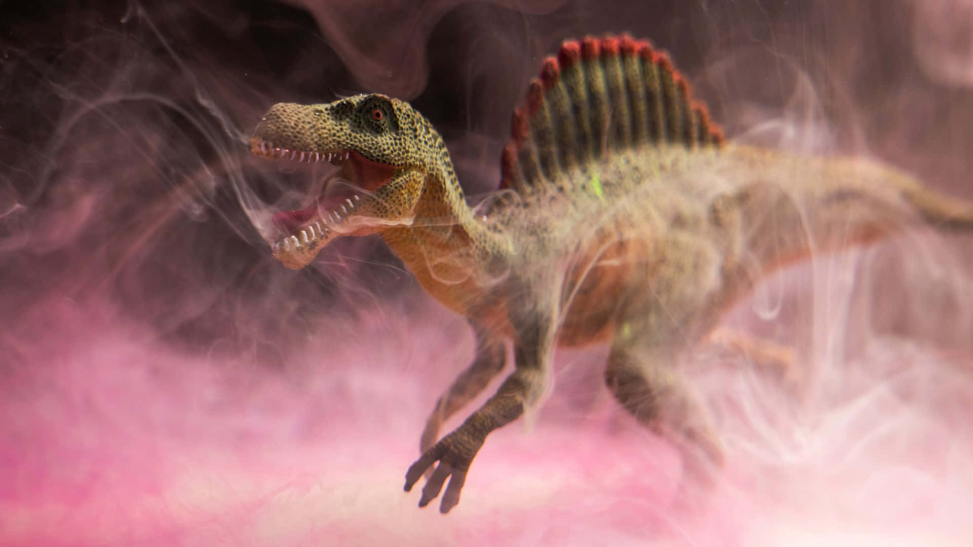 Spinosaurus, spiky dinosaur model, swirling pink smoke, Full HD Desktop Wallpaper