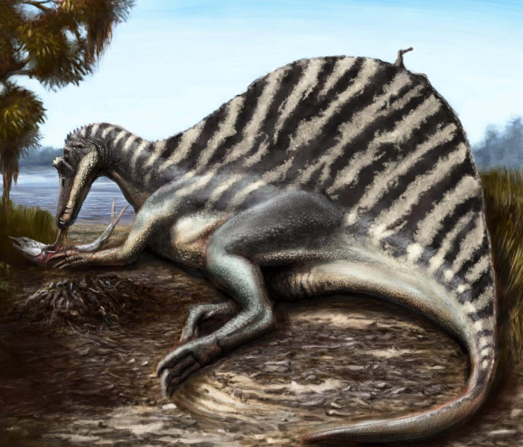 Spinosaurus, striped, large sail, HD Desktop Wallpaper