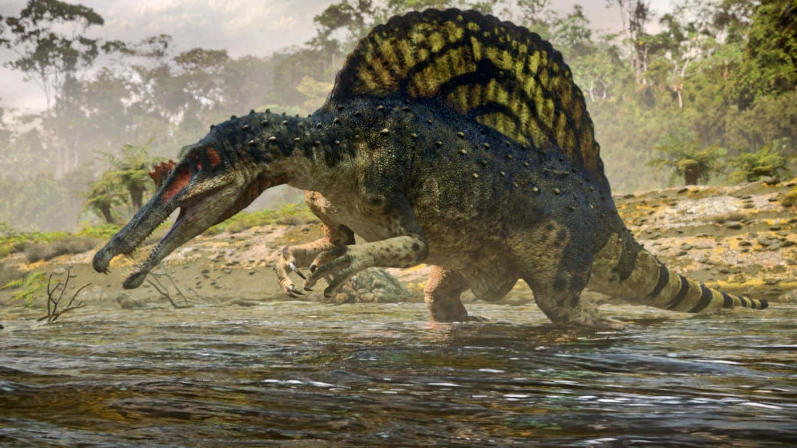 Spinosaurus, spiky-backed, shallow water, HD Desktop Wallpaper
