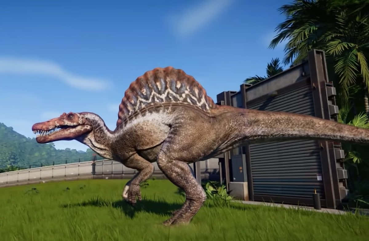 Spinosaurus, patterned sail, grass, SD Desktop Wallpaper