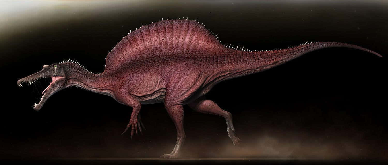 Spinosaurus, spiked back, roars, HD Desktop Wallpaper