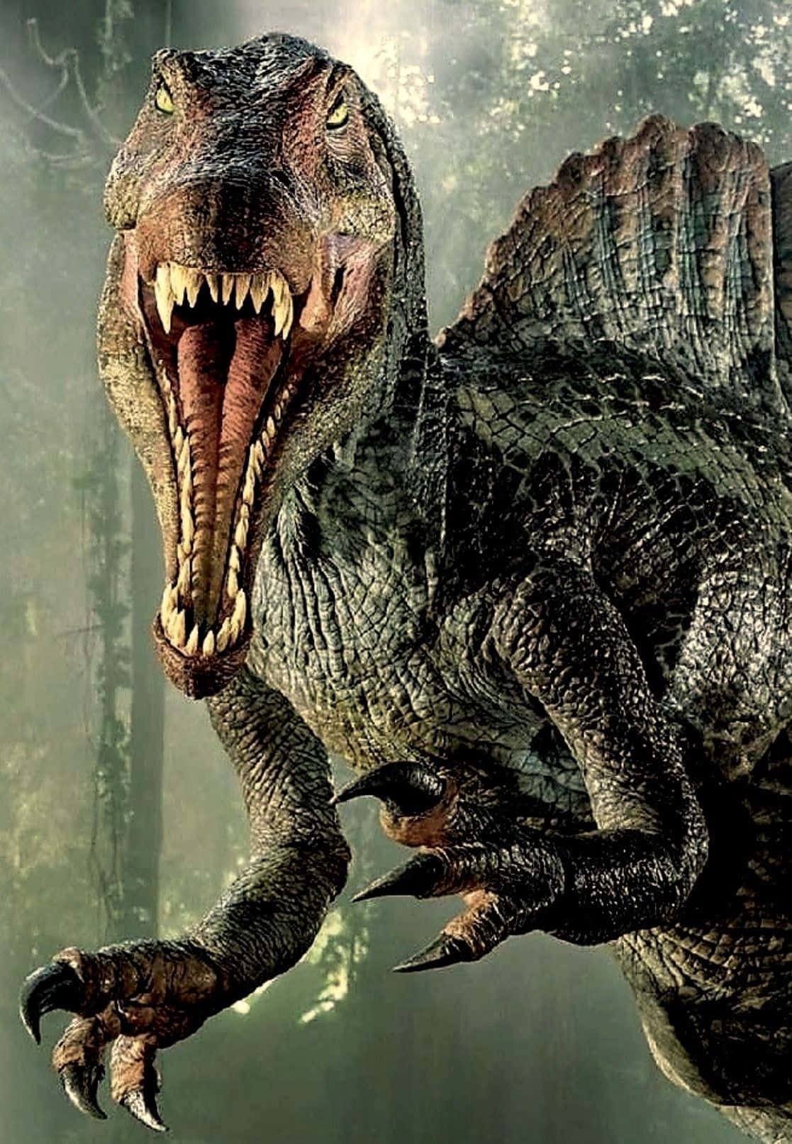 Spinosaurus, massive sail, misty prehistoric forest, HD Phone Wallpaper